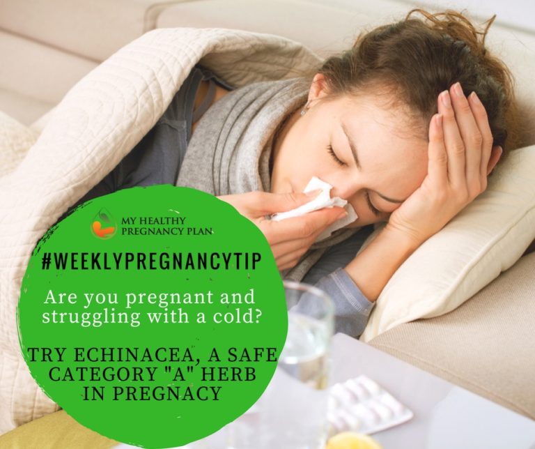 what-can-you-safely-take-for-a-cold-in-pregnancy-terra-life-and-dr