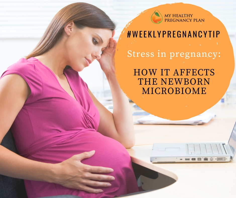 Pregnancy Stress And The Newborn Microbiome Terra Life And Dr Jocelyn